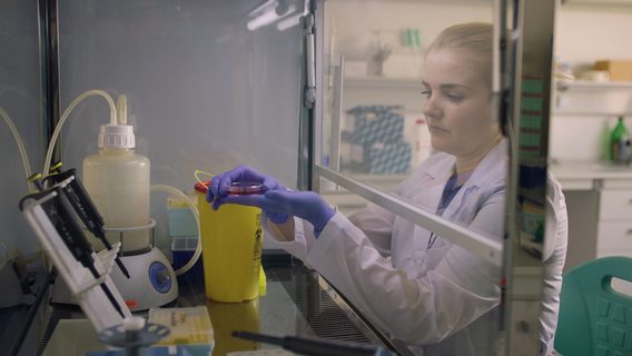 В Україні розпочався новий набір у програму Science2Business, яка допомагає вченим перетворити наукові дослідження в комерційно успішні проєкти