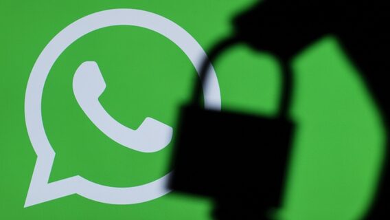 Meta звинуватили в тому, що їхні розробники мають доступ до чатів користувачів WhatsApp