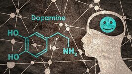 “My brain didn’t care what I was doing — it just needed the dopamine loop.” Vibecoding helped an IT guy “cure” his gaming “addiction”