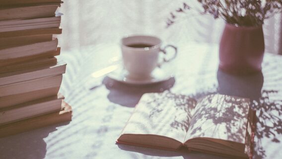 Український розробник створив Bookplex — читалку для вивчення англійської. Як вона працює?