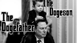 Elon Musk once again influences the value of coins with tweets. How much did the Baby Doge cryptocurrency increase after another post by the billionaire