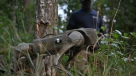 UPD. Українські військові випробовують британських робопсів із ШІ для застосування на полі бою