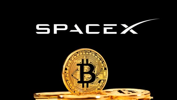 SpaceX розкрила запаси біткоїна в заявці на IPO: компанія Ілона Маска володіє криптовалютою на $1,45 млрд