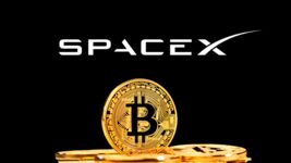 SpaceX disclosed Bitcoin holdings in IPO filing: Elon Musk's company owns $1.45 billion worth of cryptocurrency