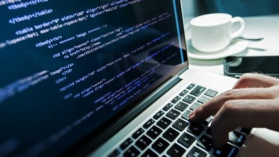 У 2024 році відкрили рекордну кількість ФОПів — понад 70 000. ІТ займає третю позицію серед найпопулярніших напрямів