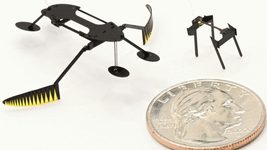 В американском университете создали самых маленьких и быстрых мини-роботов в мире. Ученые раскрыли секрет своей разработки