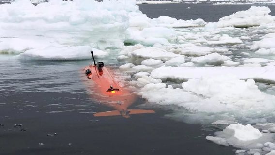 Безпілотний підводний човен уперше провів дослідження нижньої частини антарктичного льодовика: що вдалося виявити на глибині 17 км