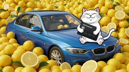 How to find 51 lemons in the monobank application? Tip from Oleg Gorokhovsky