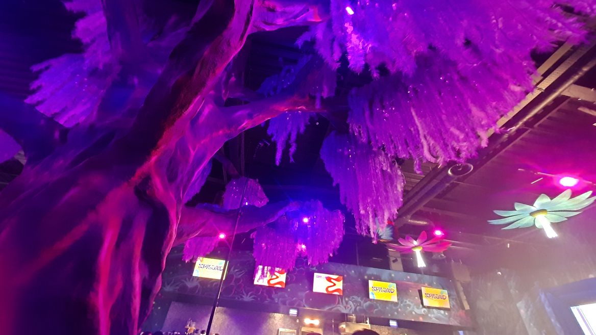 "Epicenter" is falling into its infancy - amusement parks are appearing in the Gereg network. We visited the first Epiland and learned a lot of interesting things