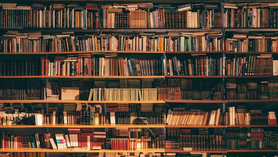 MegogoBooks  планує запуск мобільного застосунку та доставку в США