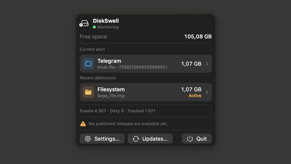 Ukrainian IT guy created DiskSwell — a tool to prevent memory "disappearance" on Mac