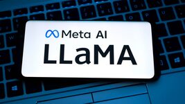 The US government has authorized the use of Llama AI in government structures
