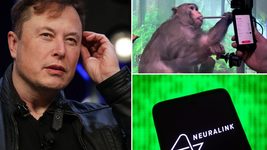 Маск говорил неправду, когда отрицал смерть испытуемых обезьян Neuralink. Документы свидетельствуют, что они очень страдали перед эвтаназией