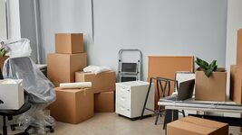 In 2025, almost 8,000 businesses moved to other regions, of which 2.6% were IT companies