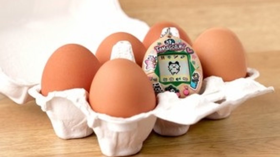 A new version of the digital toy Tamagotchi was introduced in Tokyo. And the most interesting thing is that its body is made of eggshells.