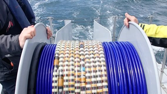 Підводні кабелі можуть «почути» диверсію: у Німеччині розробили спеціальну технологію