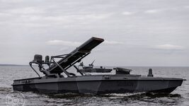The Neptun Shadow naval drone division has appeared in the Unmanned Systems Forces