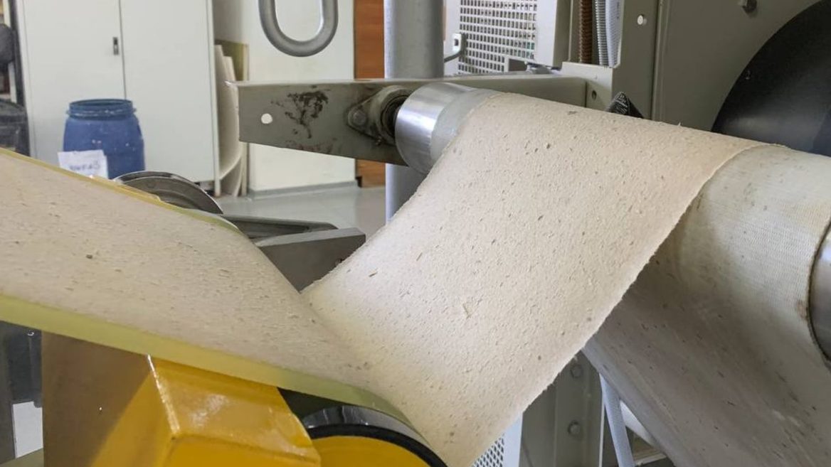 Український виробник паперу з опалого листя Releaf Paper отримав €25 млн гранту від ЄС на будівництво фабрики. Де будуватимуть? 