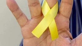 «Выборов не будет, а будет Гаага!» Украинцы создали чат-бот «Видим АІ», который поможет идентифицировать организаторов псевдовыборов. Как им воспользоваться