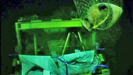 Підводний робот газової компанії випадково знайшов затонулий корабель, якому 3300 років (відео)