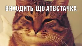 «Останній оплот демократії». Як Ebanoe IT відповіло dev.ua на новину про російську мову