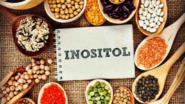 Топ-10 найкращих продуктів, які варто обрати, якщо вас цікавить інозитол