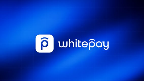 Whitepay launches tool for mass crypto payments