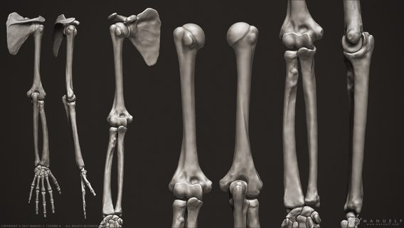 В Украине будут печатать на 3D принтере импланты костей для пострадавших на войне. Это пилотный проект