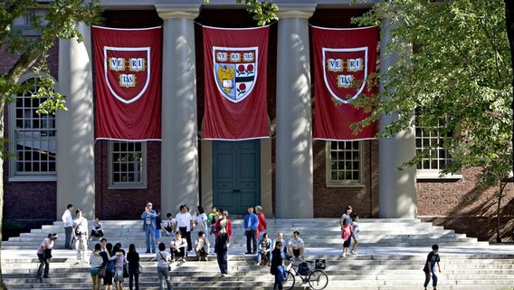 У Гарварді з'явиться новий «викладач» інформатики — чат-бот 