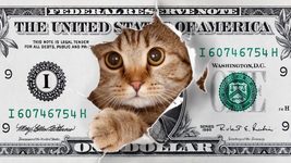 Венчурний фонд із російськими коріннями Runa Capital проінвестував $1 млн в український стартап Altris AI Венчурний фонд із російськими коріннями Runa Capital проінвестував $1 млн в український стартап Altris AI