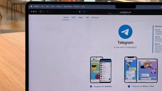 З січня український бізнес зможе розміщувати рекламу через Telegram Ads — Netpeak став офіційним реселером платформи