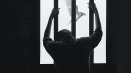 Юристи компанії Provectus IT вимагають видалити статтю про бренд-менеджерку, яка вихваляє росію. Вказують можливі варіанти нашого покарання — навіть обмеження волі до трьох років