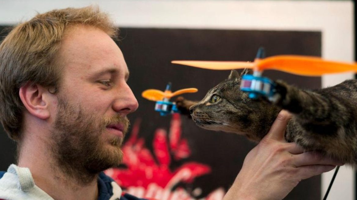 В Нидерландах изобретатель создает дроны из животных. Уже есть дрон-кот дрон-страус дрон-хомяк и даже дрон-акула: фото видео