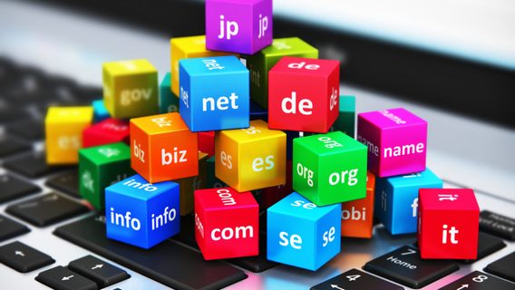 8 советов, как выбрать доменное имя для бизнеса или блога в 2024 году