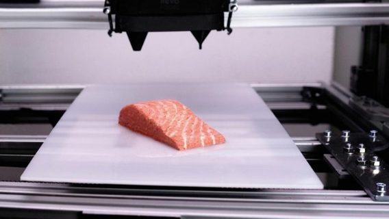 В супермаркетах Вены появилось филе лосося, распечатанное на 3D-принтере. Из чего оно сделано