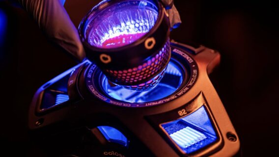 Colossal Biosciences виростив курчат утяйцях, надрукованих на 3D-принтері. Тепер компанія працює наш штучними утробами для ссавців