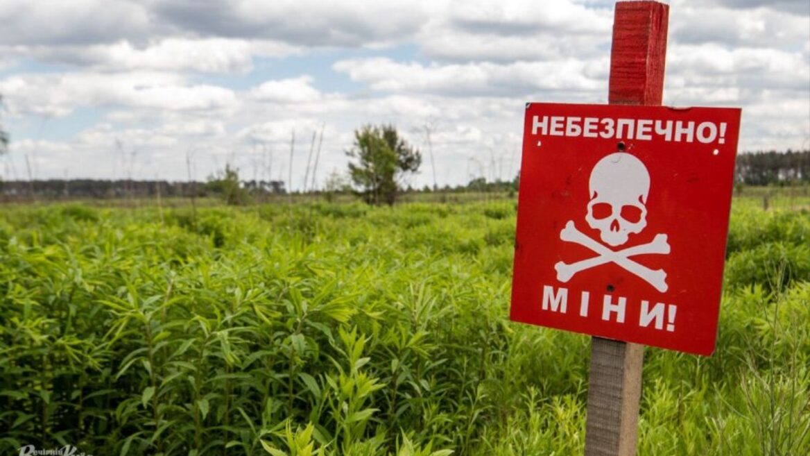 У «Дії» запустили онлайн-сертифікацію операторів протимінної діяльності 