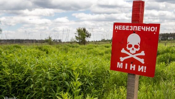 У «Дії» запустили онлайн-сертифікацію операторів протимінної діяльності 
