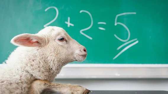 OpenAI has published hundreds of solutions to complex mathematical problems. But scientists have found that the AI ​​could change the meaning of the proof during verification