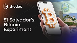 Чи Bitcoin досі законний платіжний засіб у Сальвадорі:
що показав аналіз Thedex за п'ять років