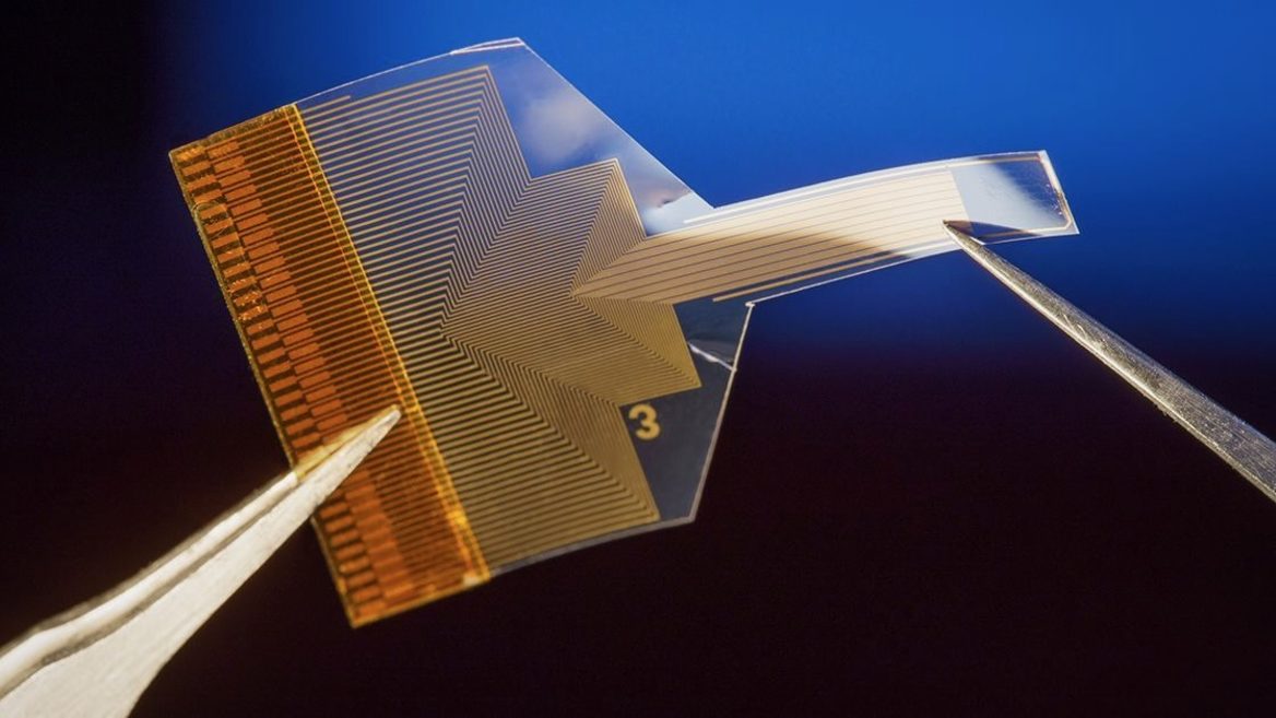 Inbrain Device Size Мозкові імпланти наступного покоління використовують графенові чипи ...