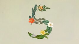 Anthropic представила «найбільш агентну модель» з усіх існуючих в цій лінійці. Що може Claude Sonnet 5