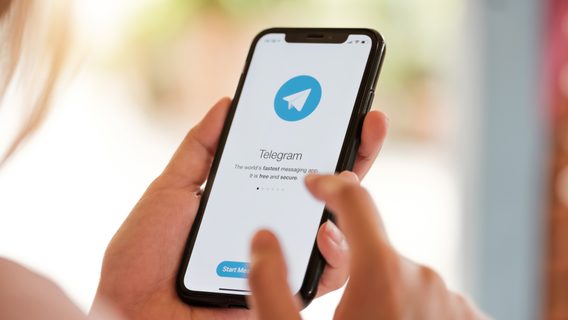 5 полезных сервисов и Telegram-ботов, которые могут спасти жизнь во время военных действий