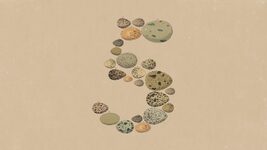 Anthropic представила Claude Opus 5. У компанії кажуть, що вона близька до Fable 5, але вдвічі дешевша. Що відомо про нову модель 