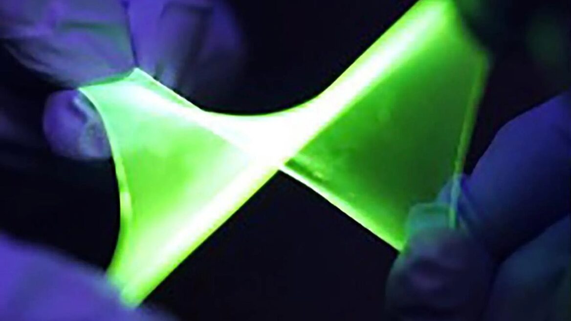 Професор українського походження допоміг створити OLED-дисплей, який розтягується в розмірах до двох разів без втрати яскравості