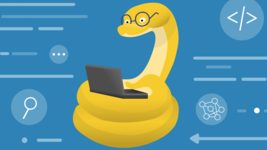 Як навчитися кодити на Python: 5 курсів від міжнародних платформ, доступні кожному