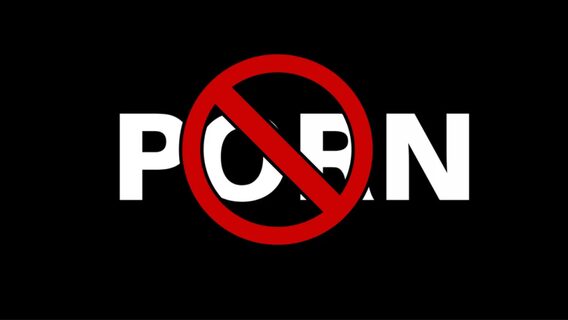 Понад 100 громадських організацій вимагають відхилити законопроєкт декриміналізації порно