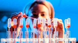 Український сервіс Lab24 розширює ринки й, після Румунії, запускається в Польщі