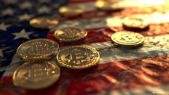 Схоже, оптимізм криптобізнесу щодо дружньої політики Трампа вичерпав себе: біткоїн впав на 25% від історичного максимуму, а інвестори виводять гроші