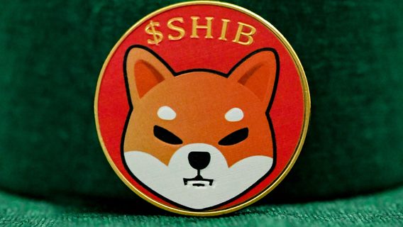 Криптовалюта-мем Shiba Inu незабаром може запропонувати власникам SHIB інтернет-домен «.shib»